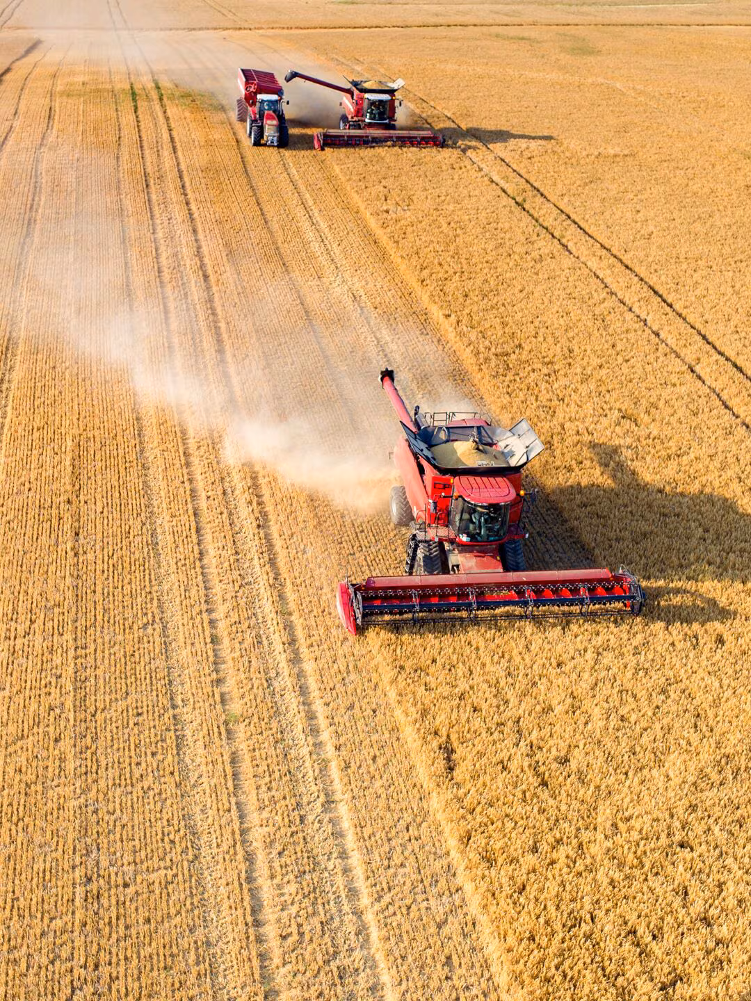 Agriculture